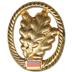 Bundeswehr Original - Abzeichen BW Barett Jägertruppe