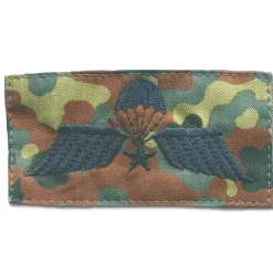 Bundeswehr Original - Abzeichen Springer Textil Holland