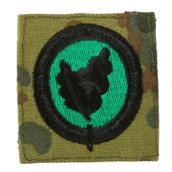 Bundeswehr Original - Abzeichen BW Einzelkämpfer