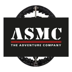 Bundeswehr Original - Leistungsabzeichen BW Metall