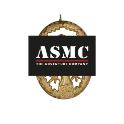 Bundeswehr Original - Leistungsabzeichen BW Metall