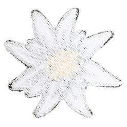 Bundeswehr Original - Patch Edelweiß Klett