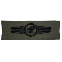 Bundeswehr Original - Tätigkeitsabzeichen Personal Fernspäheinsatz