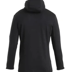 Icebreaker - Zip Hoodie Merino 260 Quantum IV