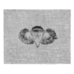 JR Emblem Co. - Abzeichen US Combat Para Textil