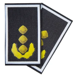 NfD - BW Rangabzeichen bedruckt Heer Klett für KBS SK