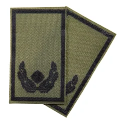 NfD - BW Rangabzeichen bedruckt Heer Klett für KBS SK