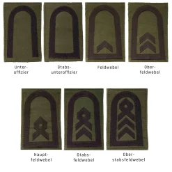 NfD - BW Rangabzeichen Heer Klett