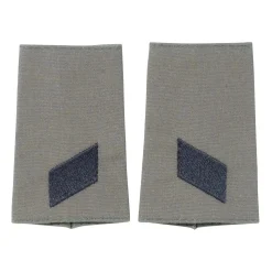 NfD - BW Rangabzeichen Heer Oliv