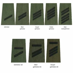 NfD - BW Rangabzeichen Heer Oliv