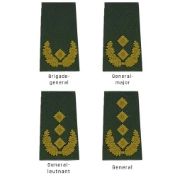 NfD - BW Rangabzeichen Heer Oliv