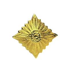 NVA - Dienstgradstern